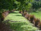 Jardín Botánico de Caguas - CAGUAS